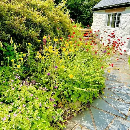 Beautiful Ancient Stone Cottage, Local Walks & Pub! Conwy Extérieur photo
